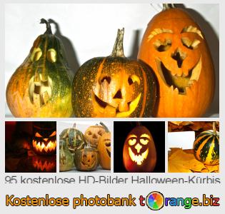 Bilddatenbank tOrange bietet kostenlosen Fotos aus dem Bereich: halloween-kürbis
