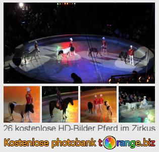 Bilddatenbank tOrange bietet kostenlosen Fotos aus dem Bereich: pferd-im-zirkus