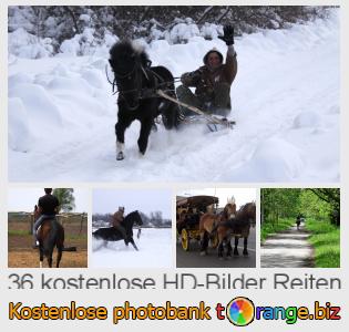Bilddatenbank tOrange bietet kostenlosen Fotos aus dem Bereich:  reiten