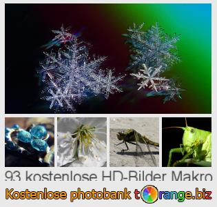 Bilddatenbank tOrange bietet kostenlosen Fotos aus dem Bereich:  makro