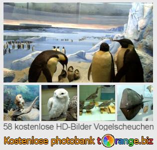 Bilddatenbank tOrange bietet kostenlosen Fotos aus dem Bereich:  vogelscheuchen