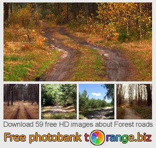 images free photo bank tOrange offers free photos from the section: forest-roads