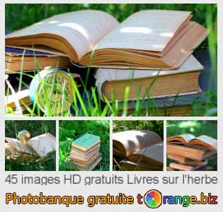 Banque d'images tOrange offre des photos libres de la section:  livres-sur-lherbe