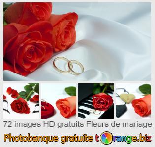 Banque d'images tOrange offre des photos libres de la section: fleurs-de-mariage
