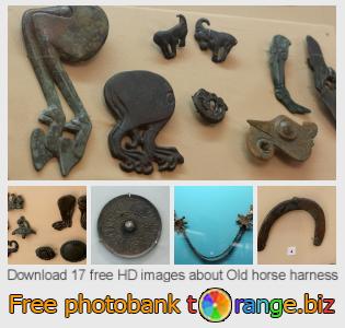 images free photo bank tOrange offers free photos from the section:  old-horse-harness