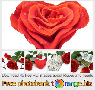 images free photo bank tOrange offers free photos from the section: roses-hearts
