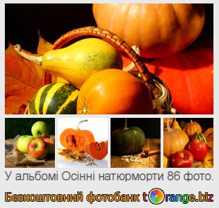 Фотобанк tOrange пропонує безкоштовні фото з розділу:  осінні-натюрморти