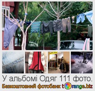 Фотобанк tOrange пропонує безкоштовні фото з розділу: одяг