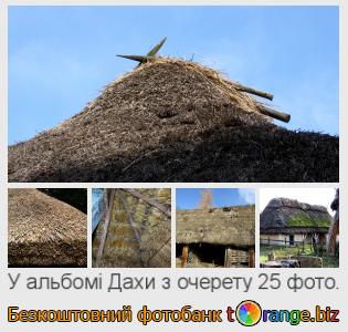 Фотобанк tOrange пропонує безкоштовні фото з розділу:  дахи-з-очерету