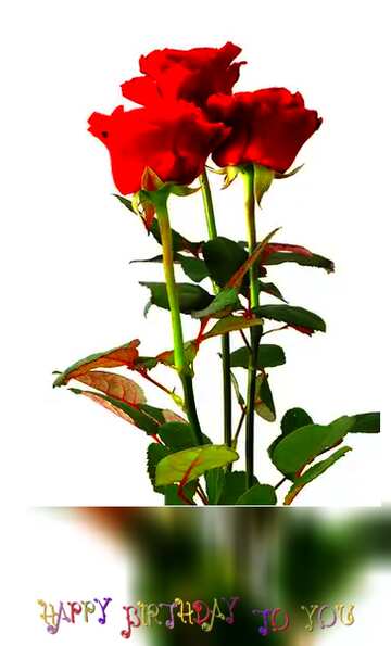FX №100147 Three roses happy birthday card