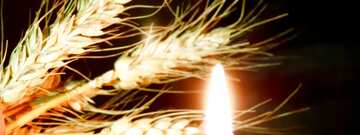 FX №13121 Обложка. Вечная память.