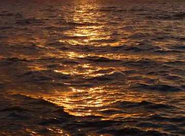 FX №17534 Cover. Sunset of the Sea.