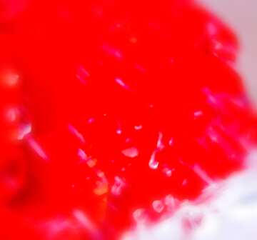 FX №17956 Image for profile picture Rose.