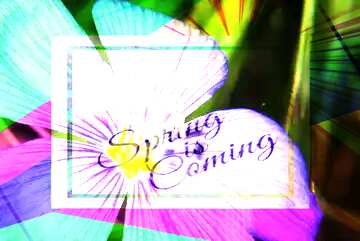 FX №175344 Flower wallpaper for desktop template card frame with inscription Spring is Coming