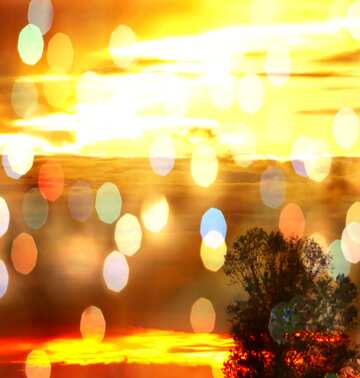 FX №176537  Golden sunset Greeting cards Background