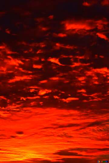 FX №176288 Red sunset love Heart card