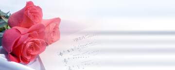 FX №177001 Card greetings music blank template