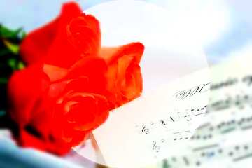 FX №177005 Card greetings music blank template