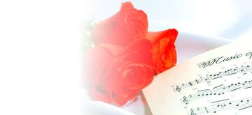 FX №177012 Card greetings music rose and notes blank template