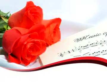 FX №177008 Template Blank greetings Card music