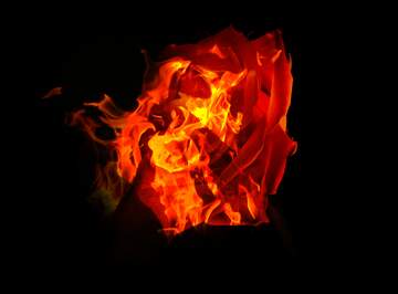 FX №178152 Rose flower in fire