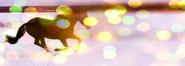 FX №179018  Horse winter  Card Template