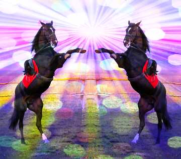 FX №179432 Two Horses standing on hind legs