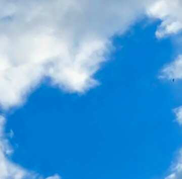 FX №18520 Image for profile picture Love in Heaven.