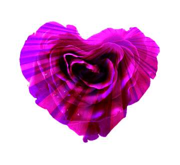 FX №180092 Blue Rose heart