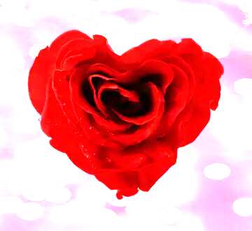 FX №180099 Rose heart on blue light background