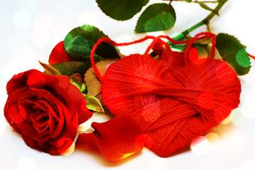 FX №184767 Heart flower rose  bokeh  background