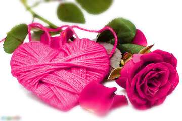 FX №184766 Heart flower rose pink  blurring