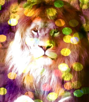 FX №185036 lion bokeh background