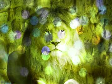 FX №185034 lion bokeh