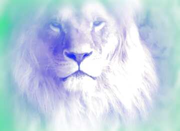 FX №185024 lion light blur frame