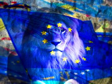 FX №185044 lion euro