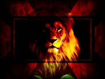 FX №186472  lion dark frame powerpoint website infographic template banner layout design responsive brochure...