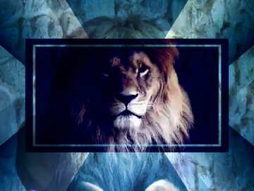 FX №186467 A lion powerpoint website infographic template banner layout design responsive brochure business