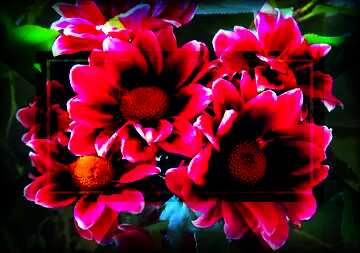 FX №189086  beautiful flowers background old dark frame powerpoint website infographic template banner layout...