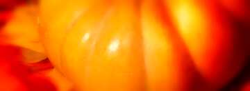 FX №19592 Cover. Pumpkin on autumn leaves.