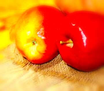 FX №19499 Image for profile picture Autumn fruits.