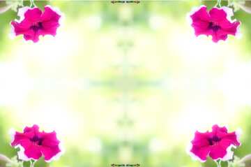 FX №19288 Texture. Beautiful background with flower.