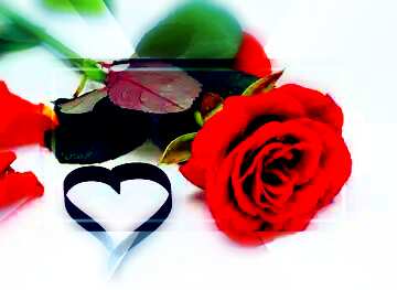 FX №190372  a rose with a heart Template