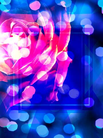 FX №191926 Rose background Blank Brochure Business Design Frame Wallpaper Template