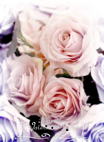 FX №191173 Flower valentines day card