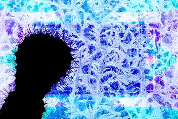 FX №191570 Silhouette of cactus against the backdrop of the frozen window Blue blank illustration template...