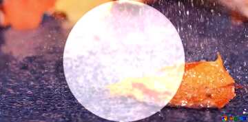 FX №209461 autumn rain infographic presentation template