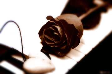 FX №209808 Eternal  love. blur frame