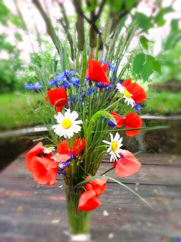 FX №209339 summer Bouquet blur frame