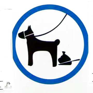 FX №21232 dog in park